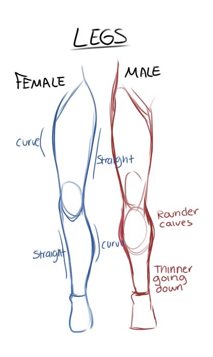 Drawing Tips - Imgur Drawing Eyes, Drawing Hands, Leg Construction Drawing, Lukisan Fesyen, Easy Pencil Drawings, Lakaran Fesyen, Drawing Legs, Desen Realist, Výtvarné Reference