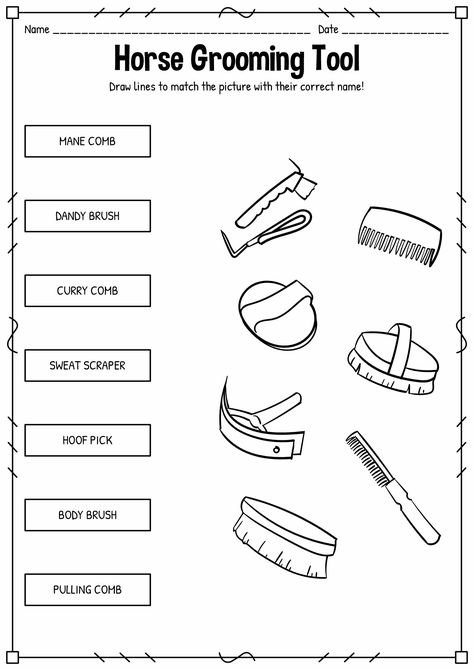 Western Riding Lesson Plans, Parts Of A Horse Printable, Horse Activity Sheets, Pony Club Worksheets, Horse Grooming Tools, Pony Club Activities, Beginner Horse Riding Lesson Plan, Horse Worksheets Free Printable, Horse Lesson Plans