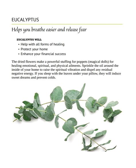 EUCALYPTUS WILL ⋆ Help with all forms of healing ⋆ Protect your home ⋆ Enhance your financial success The dried flowers make a powerful stuffing for poppets (magical dolls) for healing emotional, spiritual, and physical ailments. Sprinkle the oil around the inside of your home to raise the spiritual vibration and dispel any residual negative energy. If you sleep with the leaves under your pillow, they will induce sweet dreams and prevent colds. Spiritual Vibration, Release Fear, Cold Prevention, Breathe Easy, Protecting Your Home, Mind Body Soul, Financial Success, Body And Soul, Flower Making