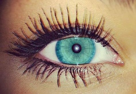 Blue eyes ♥ Make Up Tricks, Longer Eyelashes Naturally, Dru Hill, Long Thick Eyelashes, How To Grow Eyelashes, Beautiful Eyelashes, Makeup Tricks, Longer Eyelashes, Gorgeous Eyes