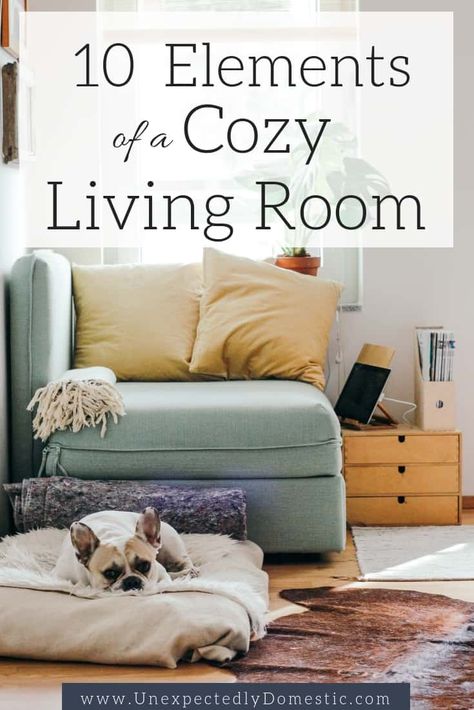 These 10 elements of a cozy home will give you a variety of warm and cozy living room ideas. Learn how to make your living more cozy and inviting! Cozy Living Room Ideas, Warm Home Decor, Easy Tricks, Living Room Warm, Kitchens And Bedrooms, Dog Furniture, Cozy Home, Cheap Decor, Cozy Room