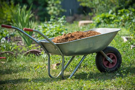 Large Garden Pots, Wheelbarrow Garden, Wheelbarrows, Garden Rake, Garden Calendar, Plastic Plant Pots, Plants For Hanging Baskets, Garden Wallpaper, Garden Planner