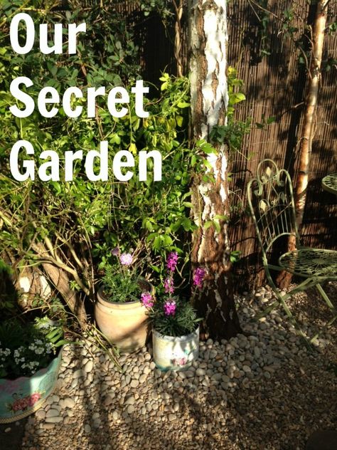 Our secret garden Secret Garden Entrance Ideas, Secret Garden Patio, Tiny Secret Garden, Diy Secret Garden Backyards, Small Secret Garden, Secret Garden Ideas Hiding Places, Secret Garden For Kids, How To Make A Secret Garden, Kids Secret Garden