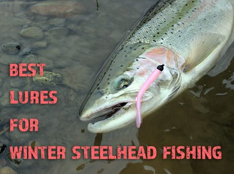 Pacific Northwest Winter, Steelhead Fishing, Steelhead Trout, Custom Lures, Trout Fishing Tips, Steelhead Flies, Winter Fishing, Lure Making, Fishing Rigs