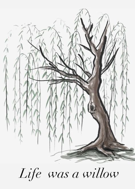 Willow tree Taylor Swift Willow, Weeping Willow Tattoo, Ink Cartoon, Tree Drawing Simple, Weeping Trees, Taylor Swift Drawing, Tree Doodle, Weeping Willow Tree, Tree Drawings Pencil