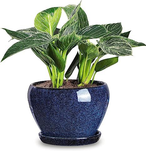 vicrays Ceramic Plant Pots Indoor - 6.5 Inch Planter Pot with Drainage Hole and Saucer for Succulent Orchid Flower Herbs Cactus - Ideal for Gardening Home Desktop Office Decor - Reactive Glaze Blue Blue Planter, Rustic Planters, Plant Seedlings, Rustic Ceramics, Rustic Blue, Ceramic Plant Pots, Snake Plant, Plant Pots, Orchid Flower