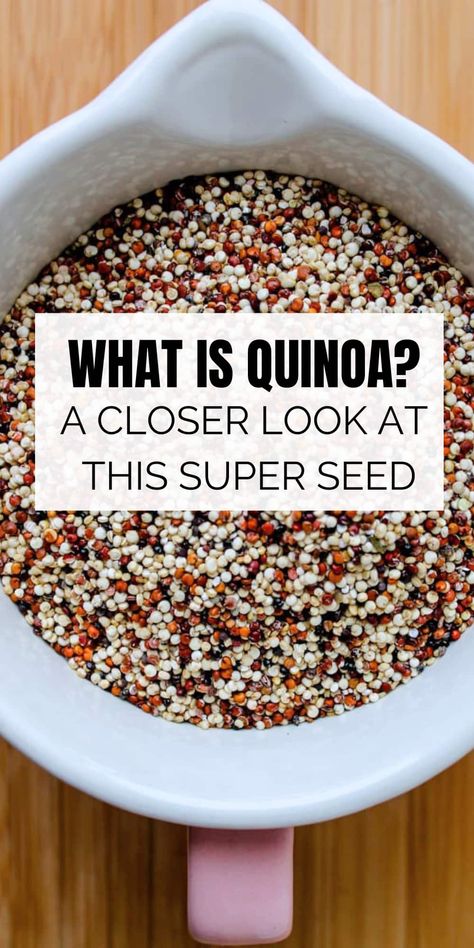 What is quinoa? It is a really versatile super seed packed with nutrition. Check out this useful resource and learn some great recipes of what to make with cooked quinoa, puffed quinoa, and quinoa flour. Quinoa Marinara, Puffed Quinoa Recipes, What Is Quinoa, Quinoa Flour, Quinoa Seeds, Puffed Quinoa, Vegetarian Protein Sources, Quick Protein, Cooked Quinoa