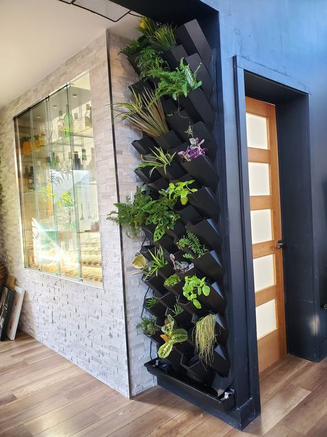 Vertical garden wall