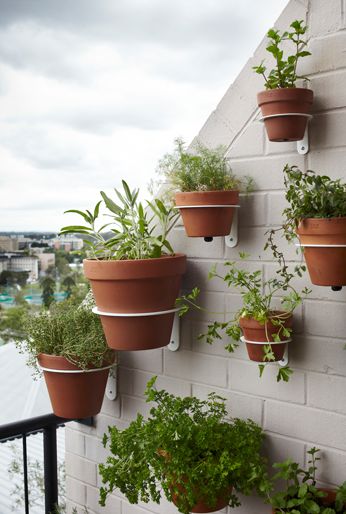 80s Apartment, Pot Wall, Hanging Plants Diy, Courtyard Gardens Design, Balcony Plants, Flower Pots Outdoor, Fence Decor, House Plants Decor, Plants Decor