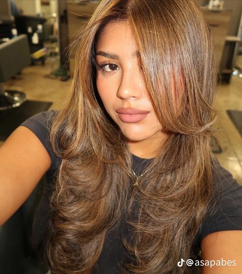 Honey Brown Hair Blue Eyes, Latina Hair Dye Ideas, Rich Honey Brown Hair, Caramel Balayage Asian Hair, Maple Brown Hair With Highlights, Light Brown Hair Tan Skin, Honey Blonde Hair On Brown Skin, Short Honey Brown Hair, Golden Honey Brown Hair