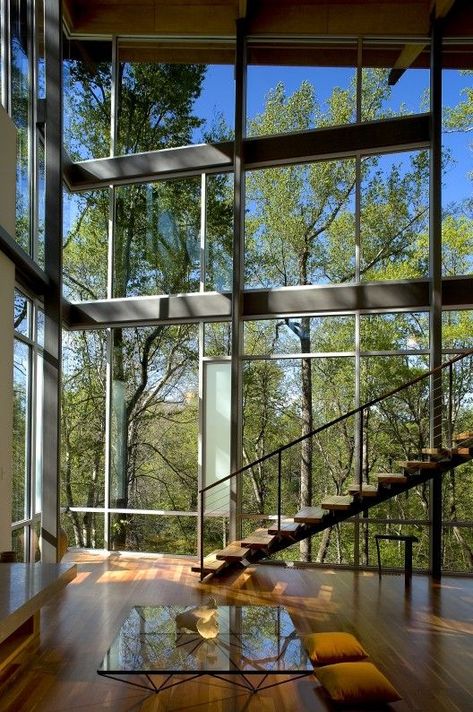 What a view. Interior from Strickland-Ferris Residence. Architects: Frank Harmon Architect PA. Location: Raleigh, NC, USA Stairs, Trees, Glass Walls, Garden Bridge, Wood Floors, We Heart It, Modern House, Dream House, Outdoor Structures