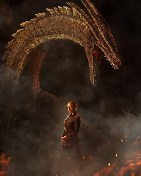 House Of The Dragon Wallpaper, Emma Darcy, Hunger Games Fashion, Dragons Game Of Thrones, Breathing Fire, Dragon Wallpaper, Got Dragons, Dragon Series, Targaryen Art