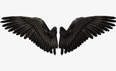 Black Wings Aesthetic, Vulture Wings, Wings Silhouette, Wing Png, Castiel Aesthetic, Stippling Tattoo, Dark Angel Wings, Wings Clipart, Swan Wings