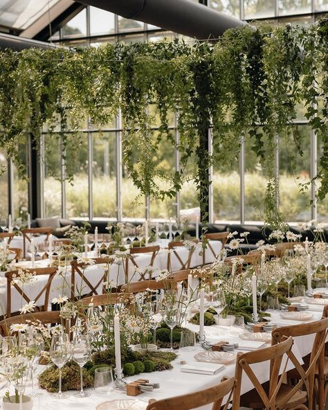 Dreamy greenhouse wedding setup!🌿 Featuring lush greenery, wildflowers, and elegant candles, this enchanting tablescape brings nature’s beauty indoors. Planning & Design @houseofluce⁣ Photography @liselorestap.weddings Florist @edeniquefloraldesign⁣ Stationery @stationery_stories Wedding Setup, Wedding Aesthetics, Elegant Candles, Greenhouse Wedding, Wedding Set Up, Lush Greenery, Plan Design, Wedding Table, Tablescapes