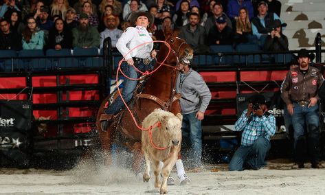 Jackie Hobbs-Crawford Makes Breakaway Roping History At Major WCRA Event - COWGIRL Magazine Breakaway Roping, Roping Horse, Ranch Riding, Rodeo Events, Cowgirl Wedding, Horse Halters, Horse Show Clothes, Barrel Racing Horses, Cowgirl Magazine