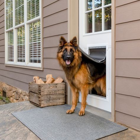 Dog Door Ideas, Doggy Doors, Best Dog Door, Large Dog Door, Pet Patio Door, Pet Doors, Door Images, Giant Breeds, Pet Door