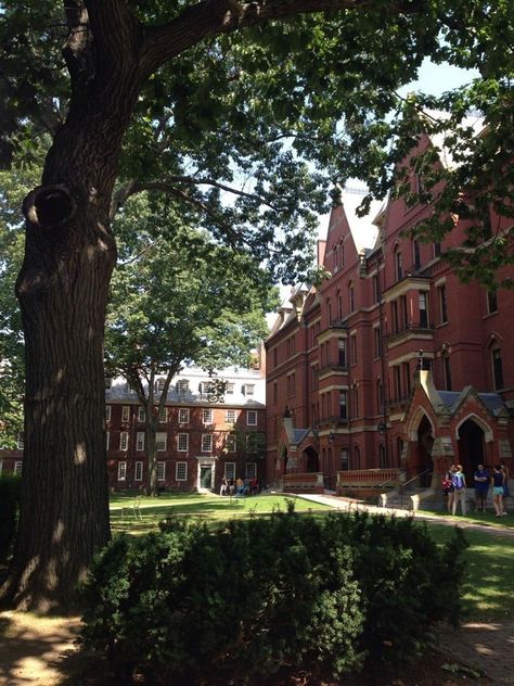 Harvard Acceptance Letter Aesthetic, Harvard Pictures Ideas, Harvard Dream Board, Harvard University Aesthetic Wallpaper, Boarding School Campus, Harvard Student Aesthetic, Harvard University Aesthetic, University Of Harvard, Harvard Aesthetic