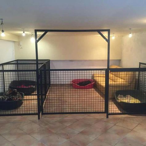 Dog Boarding Kennels, Indoor Dog Kennel, Dog Bedroom, Dog Kennel Designs, Puppy Room, Dog Kennel Cover, Diy Dog Kennel, Dog Spaces, House Garage