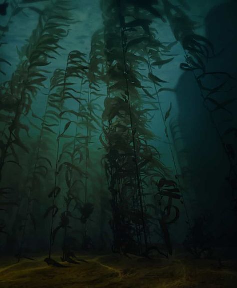 Kelp Forest, Water Aesthetic, Mermaid Aesthetic, Black Lagoon, Deep Water, Underwater Photography, Underwater World, Dark Forest, Nature Aesthetic