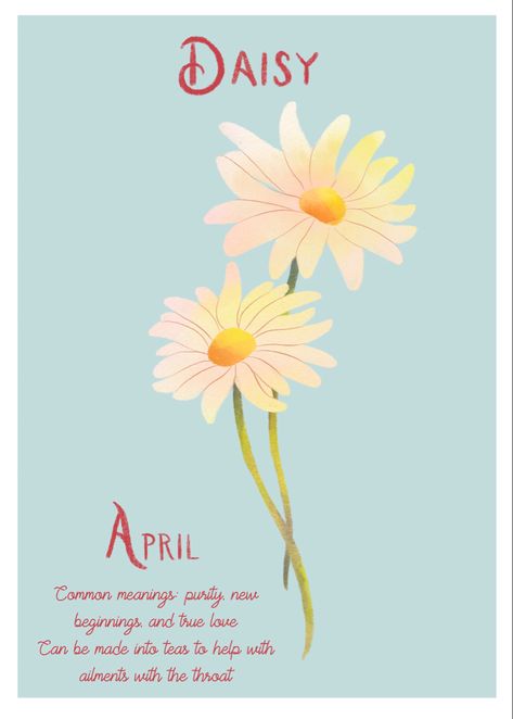 Daisy Meaning Flowers, Daisy Symbolism, Daisy Wallpaper With Quotes, Daisy Flower Aesthetic Quotes, Close To My Heart Daisy Daisy, Month Flowers, Love Can, New Beginnings, True Love