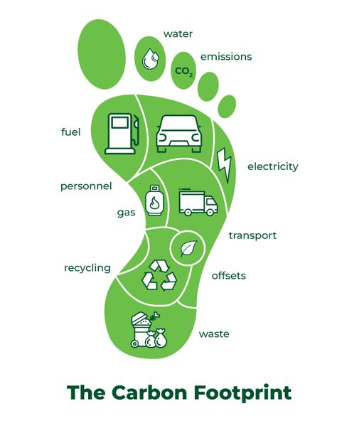 Carbon Emmisions Poster, Carbon Footprint Infographic, Carbon Footprint Illustration, Carbon Footprint Poster, Zero Waste Management, Sustainability Infographic, Earth Posters, Footprint Poster, Green Footprints