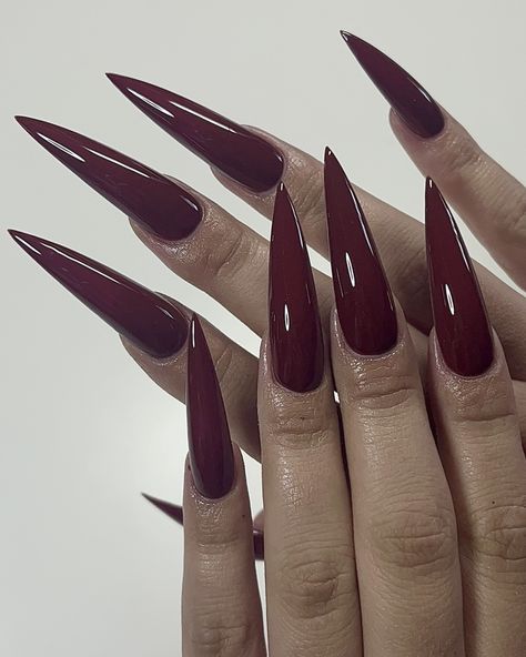 nailsbymexyy Burgundy Black Nails Acrylic, Wine Red Pointy Nails, Red Wine Stiletto Nails, Vampire Nails Coffin, Red Stilettos Nails, Maroon Long Nails, Blood Red Acrylic Nails, Cherry Red Stiletto Nails, Burgundy Nails Stiletto