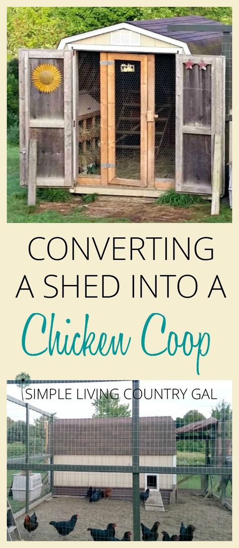 DIY. How to turn a shed into a chicken coop.  Use what you have on hand to save money when homesteading.  A step by step guide. via @SLcountrygal Easy Diy Chicken Coop, Easy Chicken Coop, Chicken Barn, Portable Chicken Coop, Chicken Coup, Chicken Tractor, Urban Chickens, Coop Design, Best Chicken Coop