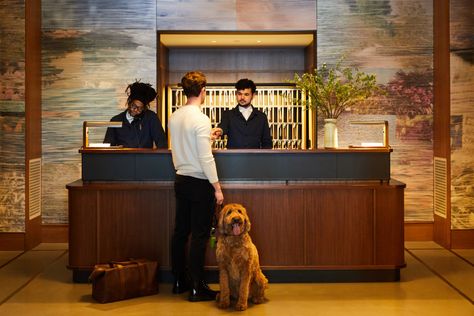 Shinola Hotel, Hotel Reception Desk, Hotel Ads, Animal Photoshoot, Dog Friendly Hotels, Holiday Hotel, Hotel Reception, Hotel Staff, Luxury Boutique Hotel