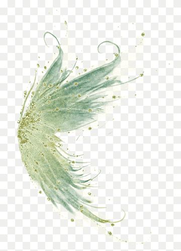 Fairy Wings Png, Fairy Tail Sabertooth, Fairy Wings Drawing, Elf Tattoo, Bird Fairy, Green Fairy Wings, Fairy Tail Symbol, Fairy Tail Logo, Fairy Png