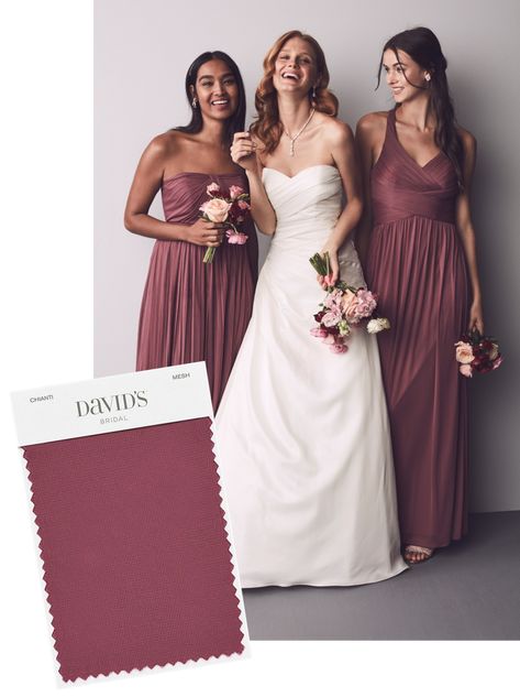 Chianti Bridesmaid Dresses Davids Bridal, Chianti Wedding, Bridesmaid Color, Chianti Bridesmaid Dresses, Chianti Wedding Color Scheme, Bridesmaid Dresses Color Palette, August Wedding Colors, Davids Bridal Bridesmaid, Davids Bridal Bridesmaid Dresses