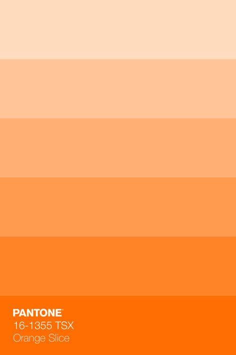 PANTONE 16-1355 TSX Orange Slice Colour Tint · Discover Color Book of 203 trend-driven, neutral, bright, and pastel Pantone Polyester TSX Colors, dyed on 100% polyester fabric for Interiors · #Pantone #Color #ColorRange #Inspiration · @pantonecolor · Kid’s Pattern Orange Shades Color, Orange Colors Shades, Creamy Orange Color, Pastel Orange Colour Palette, Orange Color Palettes Pastel, Pastel Orange Palette, Bright Orange Palette, Orange Pantone Colour Palettes, Orange Shades Colour Palettes