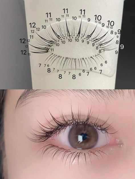 Douyin Eyelash Extensions, Lash Map For Asian Eyes, Douyin Lash Extensions, Asian Lashes Extensions, Japanese Lash Extensions, Asian Lash Extensions, Asian Eyelash Extensions, Eyelash Map, Eyelash Studio