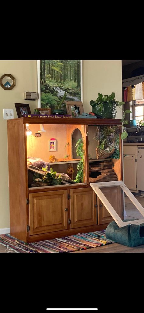 Diy Bearded Dragon Enclosure, Bearded Dragon Vivarium, Bearded Dragon Terrarium Ideas, Pic Profile, Lizard Terrarium, Lizard Habitat, Bearded Dragon Diy, Diy Reptile, Bearded Dragon Terrarium