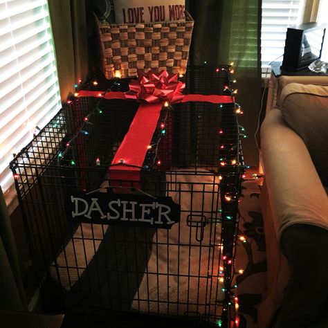 Dog crate Christmas decor Dog Crate Christmas Decor, Crate Christmas Decor, Pet Gift Basket, Christmas Lodge, Crate Ideas, Dog Cage, Dog Basket, Dog Baby, Hosting Christmas