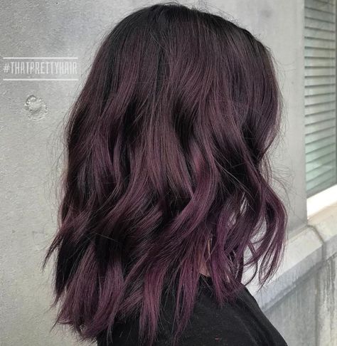 Black Hair With Purple Tint, Burgundy Hair Dark, Black Hair With Purple, Hair With Purple, Shades Of Burgundy Hair, Dark Burgundy Hair, Medium Black Hair, Dark Chocolate Hair, Maroon Hair