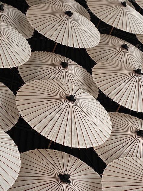 Theme Pics, Umbrella Photography, Japanese Umbrella, Aesthetic Japan, Japanese Aesthetic, Japanese Crafts, Aesthetic Themes, Chinese Culture, White Aesthetic