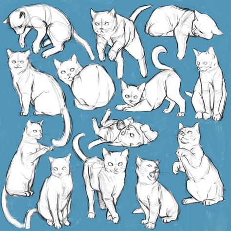 Santiago Astor - Art Tutorials on Instagram: “Cat pose studies by amazing artist sayuttan (DeviantArt) 🌟 Would you like to see more animal drawing guides? 🐱 ⠀ Check the link in my…” Cat Legs Drawing Reference, Person With Cat Reference Drawing, Cats Poses Drawing, Cat Drawing Guide, Animal Studies Sketch Drawing Reference, Cat Drawing Study, Petting A Cat Drawing Reference, Animal Sketching Ideas, Cat Reference Drawing Pose