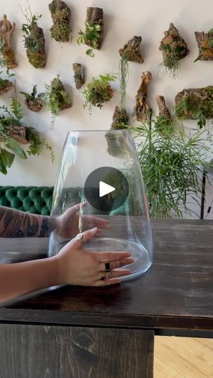 41K views · 45K reactions | A cute lil Colorado Rocky Mountains inspired terrarium build 🏔️ it’s pretty difficult to find plants that both look like our native flora and that will thrive in a terrarium but the best part of plants is the experimentation 🌿 What scenic landscape should we try in a terrarium next? 
.
.
.
#terrarium #terrariumdesign #rockymountains #coloradomountains #plantshop #terrariumplants #mossterrarium | REROOT GARDENS | ciaffa · Fine Line (Sped Up) Cacti Terrarium Ideas, Driftwood Terrarium Ideas, Cactus In Glass Vase, Terrarium Scene Ideas, Terrarium With Fairy Lights, Terrarium Aesthetic, Easy Terrarium Diy, Closed Terrarium Plants, Tropical Terrariums