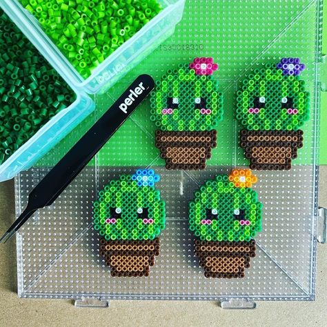 Succulent Perler Bead Pattern, Cactus Perler Bead Pattern, Perler Bead Plant Pattern, Perler Bead Patterns Plants, Perler Beads Cactus, Plant Perler Beads, Perler Beads Ideas Cute, Hama Beads Pattern, Melty Bead Designs