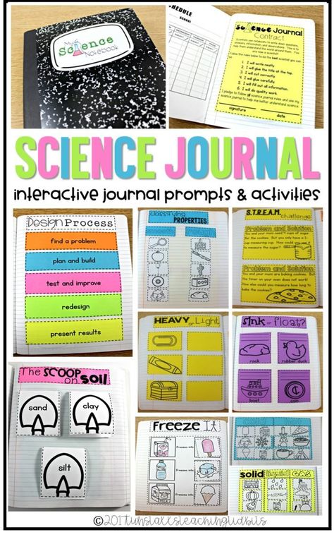 Science Journal Prompts, First Grade Learning, Interactive Journal, Second Grade Science, 1st Grade Science, Interactive Journals, First Grade Science, Science Notebook, Interactive Science