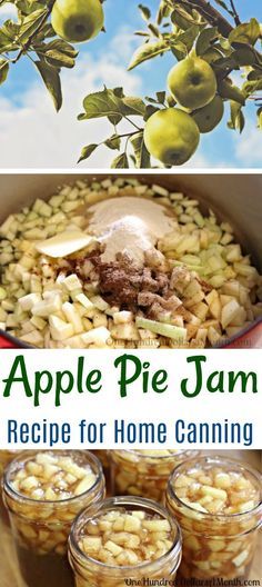 Apple Canning, Homemade Jellies, Carrot Cake Jam, Apple Pie Jam, Making Apple Pie, Canning 101, Christmas Jam, Canning Recipe, Jam Recipes Homemade