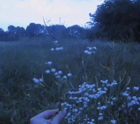 Dark Paradise, Blue Hour, Nature Aesthetic, Coraline, Grunge Aesthetic, Aesthetic Videos, Blue Aesthetic, Aesthetic Photo, Summer Aesthetic