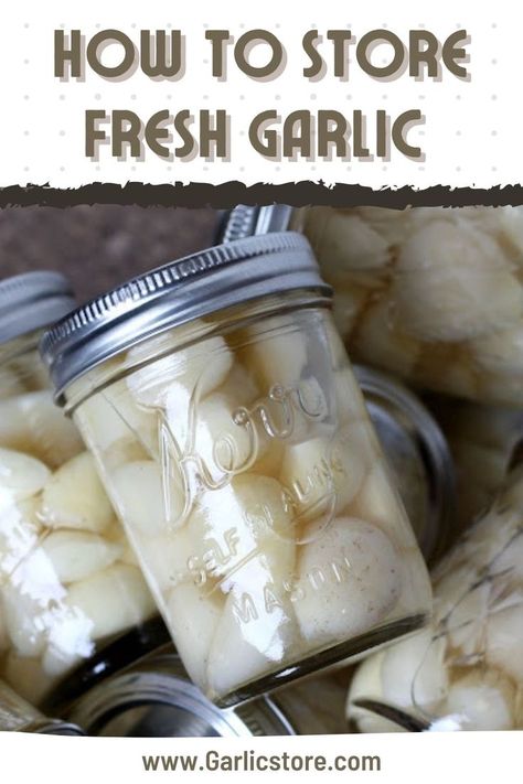 how-to-store-fresh-garlic Peru, Essen, How To Store Fresh Garlic Cloves, How To Preserve Peeled Garlic, How To Store Peeled Garlic, Storing Peeled Garlic, How To Store Fresh Garlic, Store Garlic Cloves How To, Fresh Garlic Storage