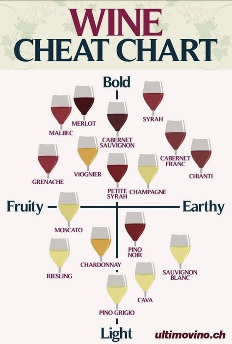 Wine Basics, Wine Chart, Wine Facts, Wine Flavors, Wine Knowledge, Dining Etiquette, Wine Guide, Easter Hairstyles For Kids, Wine Food Pairing