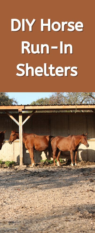 3 Sided Horse Shelter Plans, Diy Horse Shelter Run In Shed, Run In Sheds For Horses, Lean To Shed For Horses, Run In Horse Shelter, Lean To Horse Shelter, Diy Horse Shed, Diy Horse Shelter Cheap, Diy Horse Run In Shelter