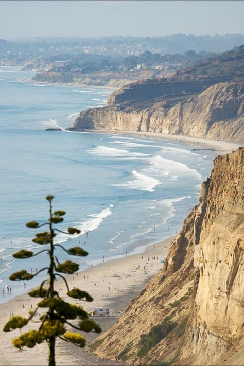 Discover 12 of the best day hiking trails near San Diego, California, including Cowles Mountain, Torrey Pines State Reserve, and Cuyamaca Peak. San Diego Camping, Summer Homescreen, Plum Cobbler, Torrey Pines State Reserve, Cali House, Eyes Poster, Bug Eyes, Malibu Rising, California Life