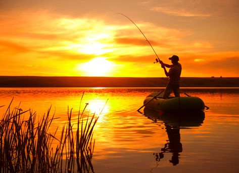 To help you secure your next big catch, here are some of our best tips for reeling in your large fish! Bass Fishing Girl, Bass Fishing Tattoo, Bass Fishing Pictures, Bass Fishing Boats, Man Fishing, Largemouth Bass Fishing, Fishing Photos, Fishing Photography, Bass Fishing Lures