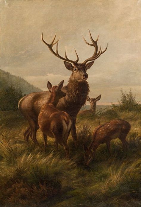 Carl Friedrich Deiker (1836-1892) - Red deer, oil on canvas, 190 x 130,5 cm. Che Guevara Art, Deer Illustration, Deer Painting, Image Nature, Deer Art, Red Deer, Old Paintings, Painting Wallpaper, Ethereal Art