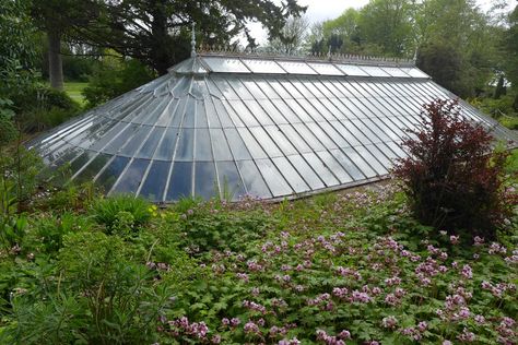 Sunken fernery (2) Fernery Ideas, Sunken Greenhouse, Underground Greenhouse, Colonial Garden, Conservatory Greenhouse, Greenhouse Shed, Home Greenhouse, Green Houses, Sunken Garden