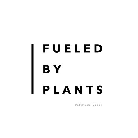 Plantaholic Quotes, Vegetarian Aesthetic Quotes, Vegan Vision Board, Wfpb Aesthetic, Vegan Quotes Positive, Vegan Moodboard, Plant Based Quotes, Vegan Lifestyle Aesthetic, Vegan Slogans